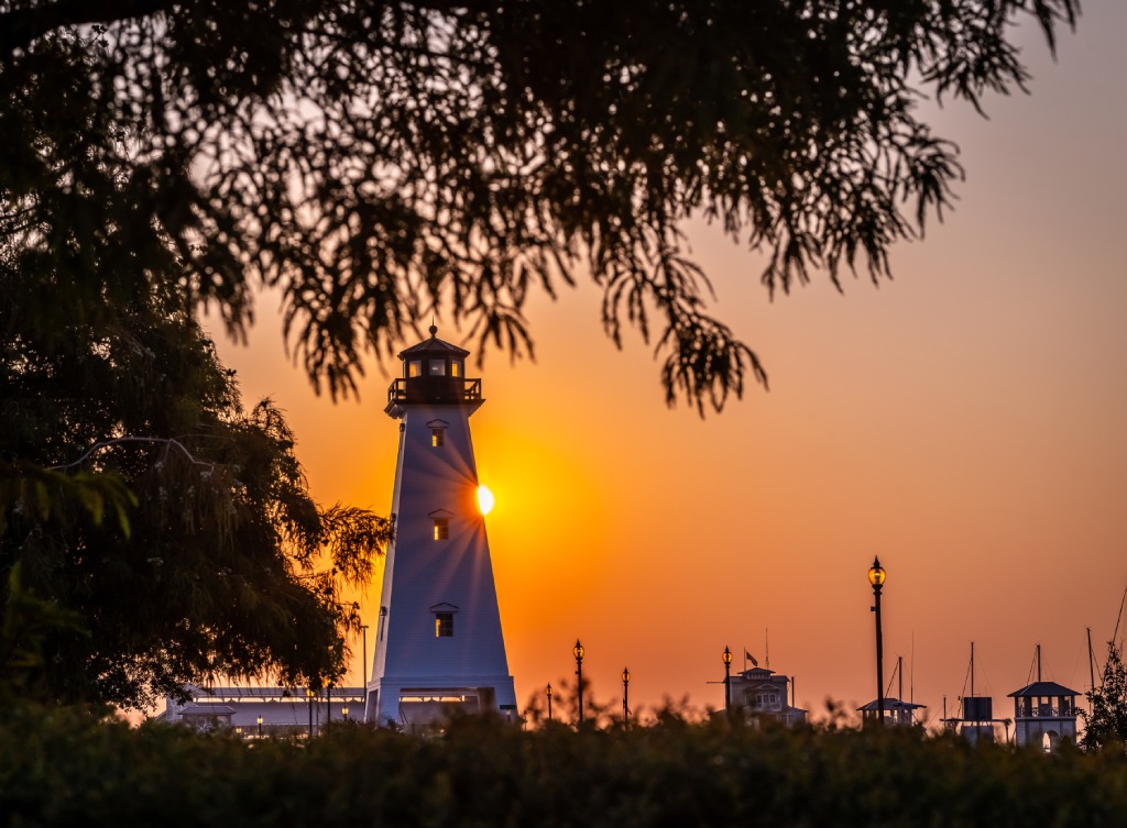 Scenic White Lighthouse at Sunset with Sun Flare and Silhouetted Tree Framing.jpg